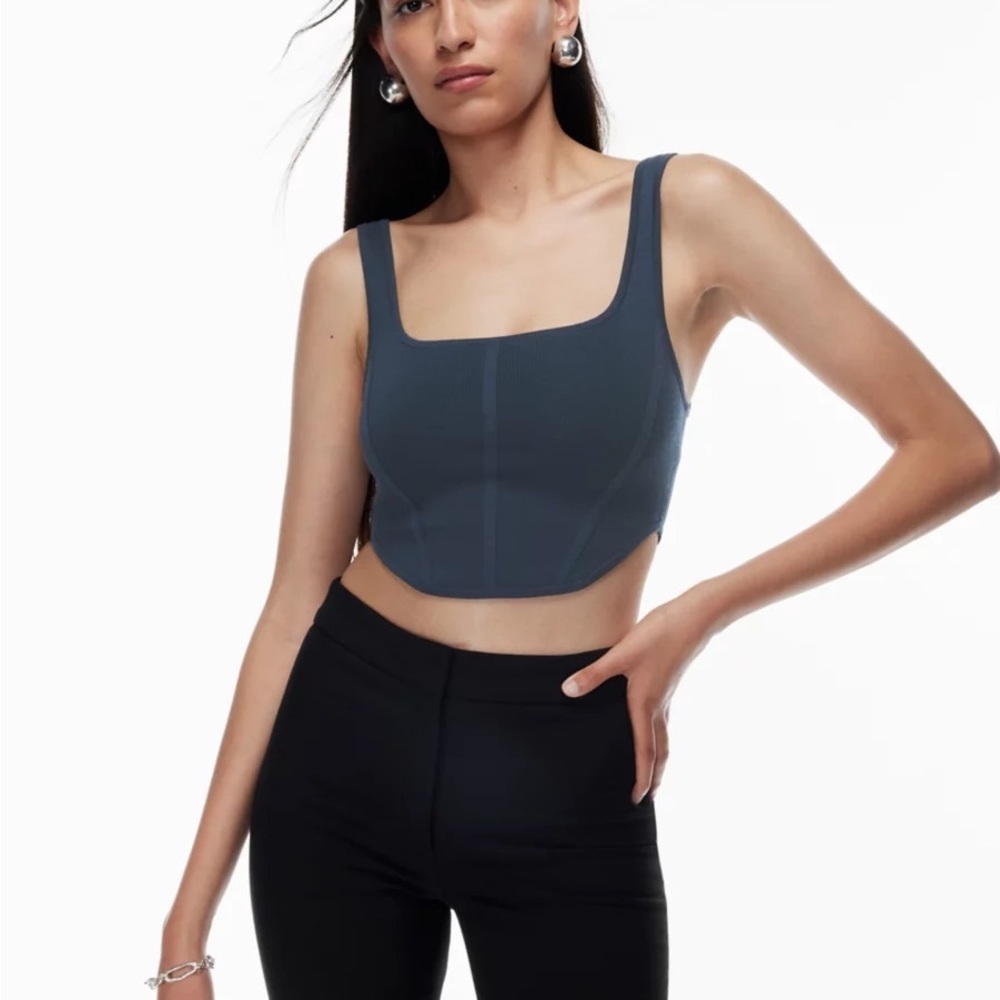 Aritzia Babaton Square Neck Corset Tank / Size 2XL